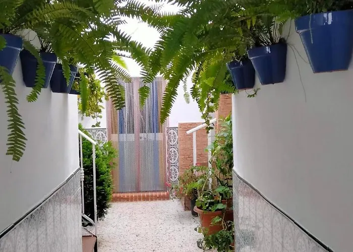 Conil, Céntrico Y Cerca De La Playa *